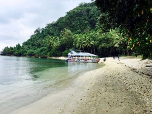 Turtle Reef
